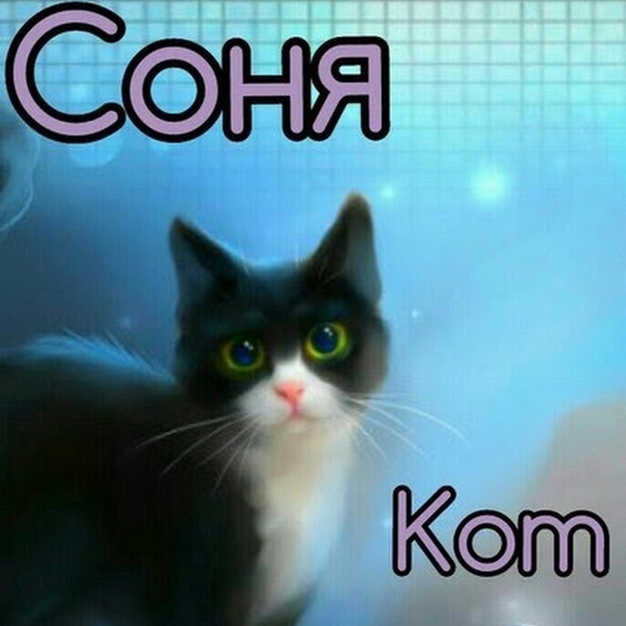 Соня котенок картинка