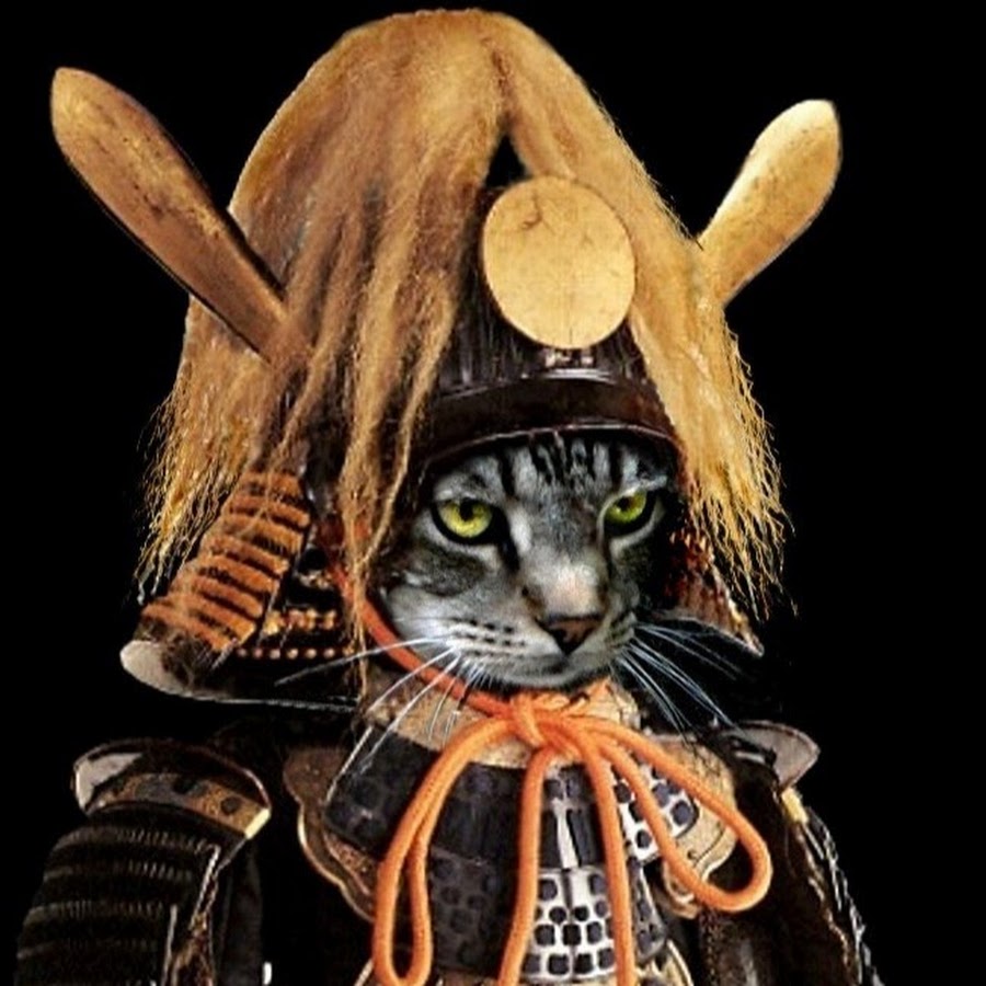Кот в самурайских доспехах