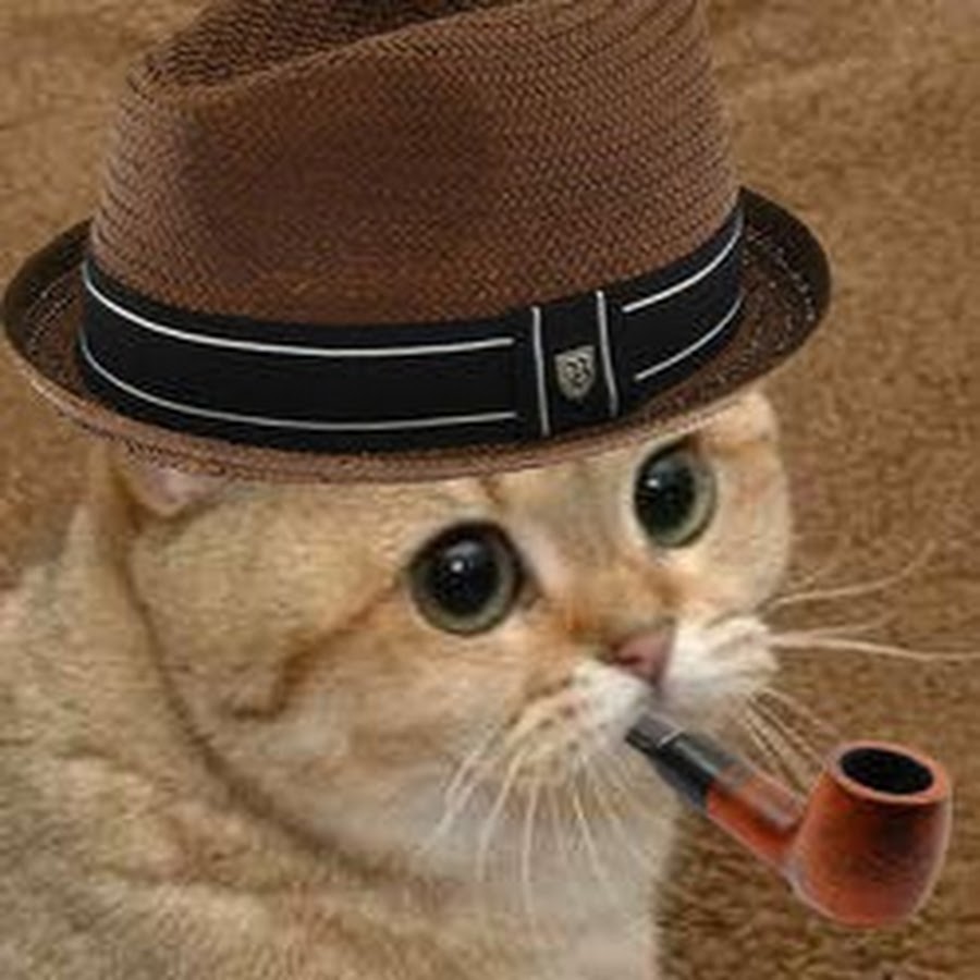 Кот в шляпе с сигарой