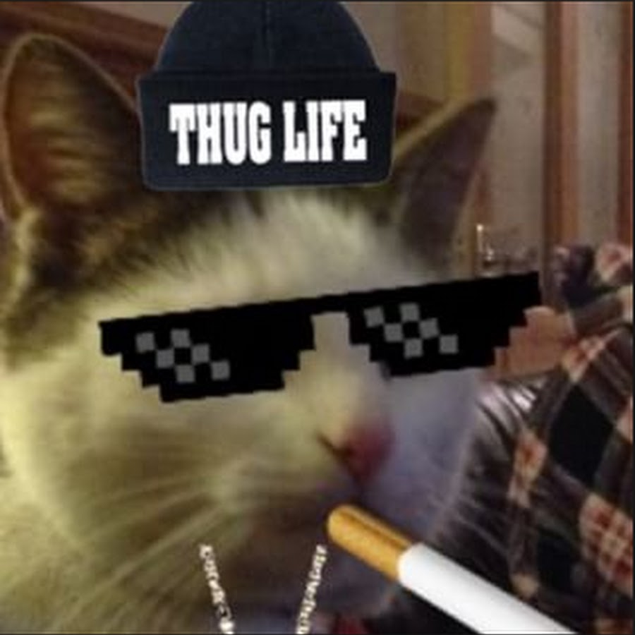 Кот с очками и сигаретой