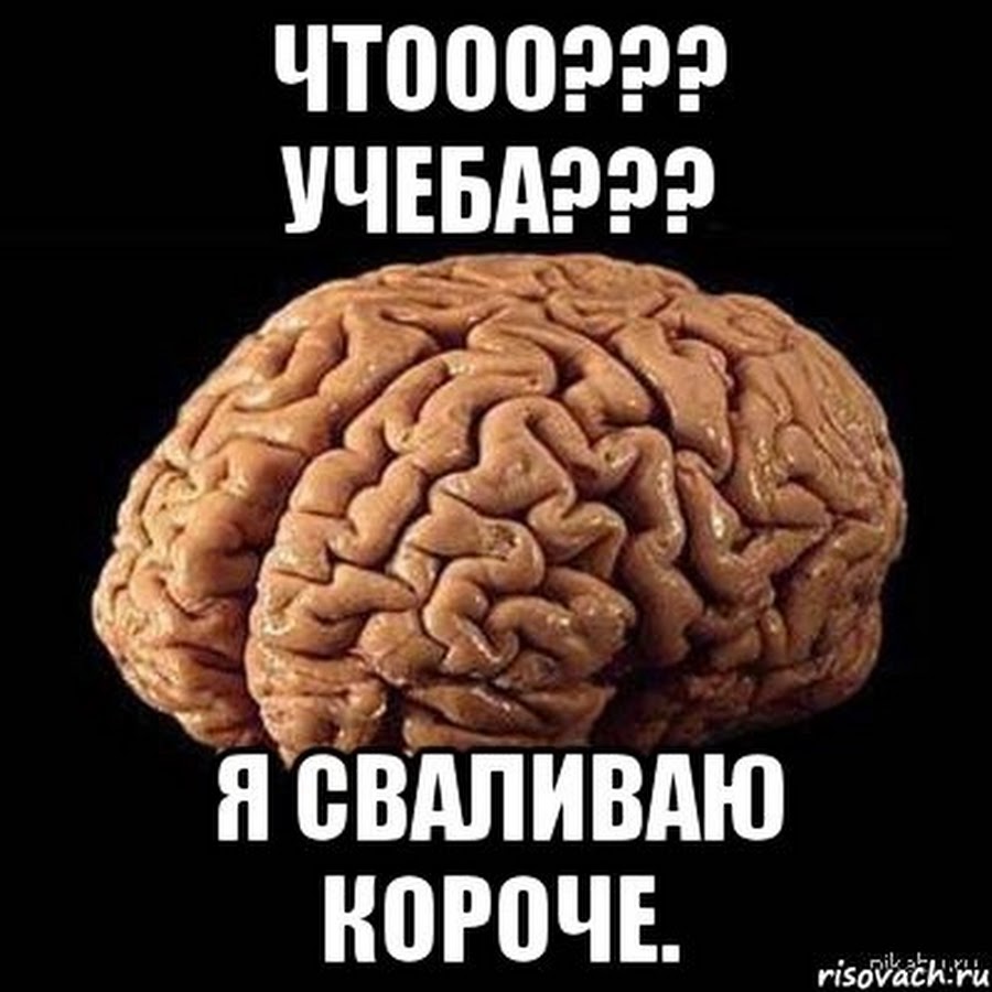 Для чего нужны мозги. Мозг сваливает. Мемы про мозги. Мемы про мой мозг. Мозг я сваливаю.