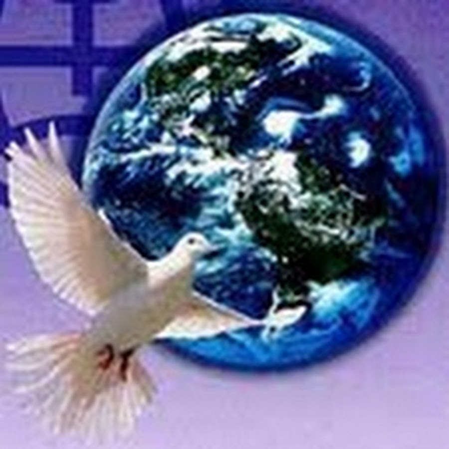 Мир на земле голубь