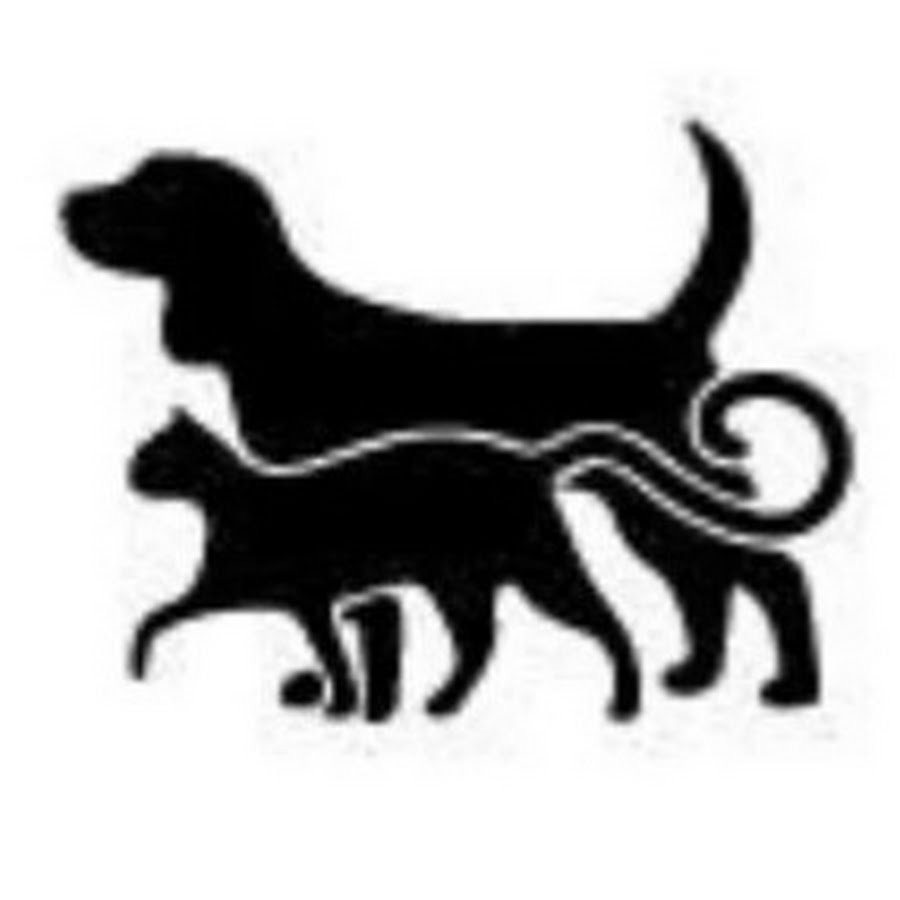Логотип собаки. Логотип собака. Логотип кошка и собака. Силуэт кошки и собаки. Силуэт собаки.