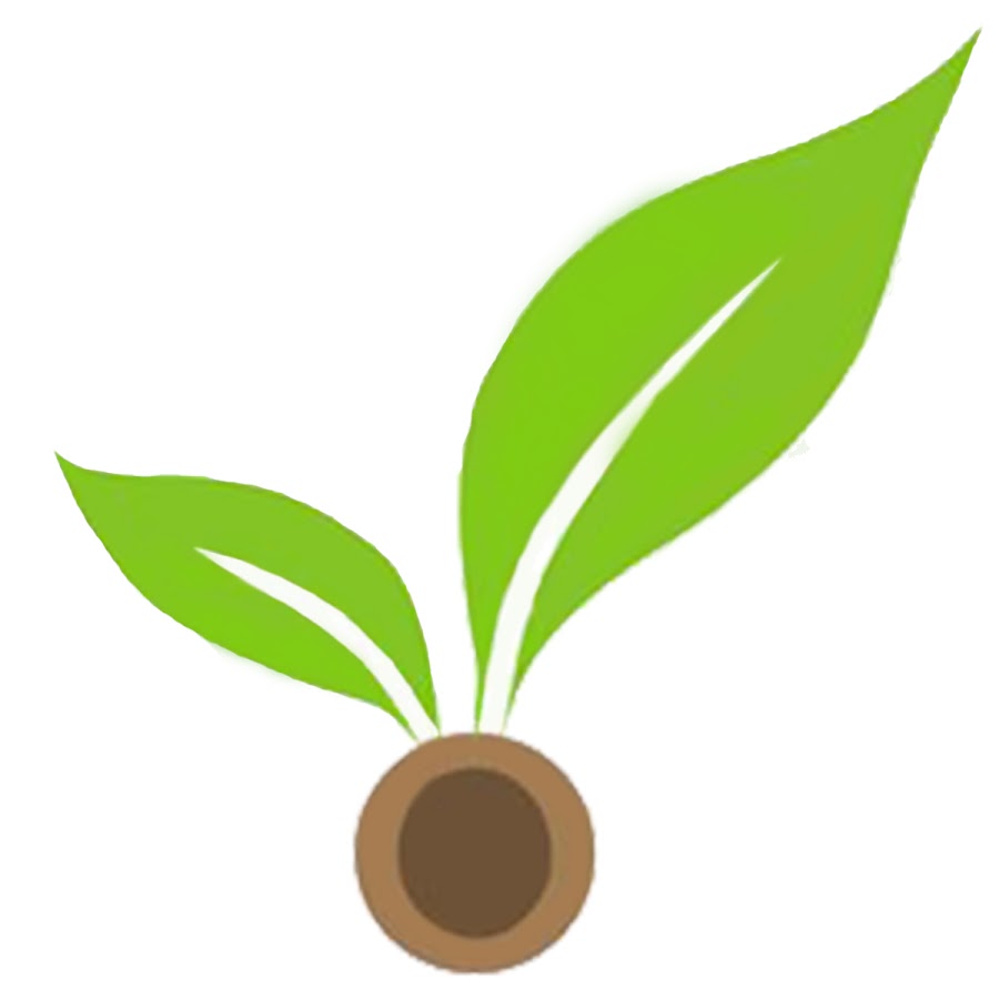 Логотип семян