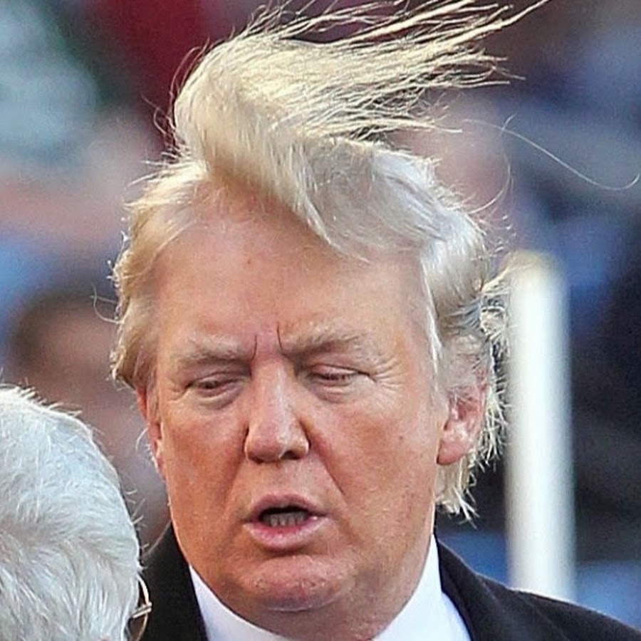 Дональд Трамп волосы на ветру