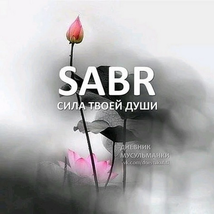 Красивые картинки sabr