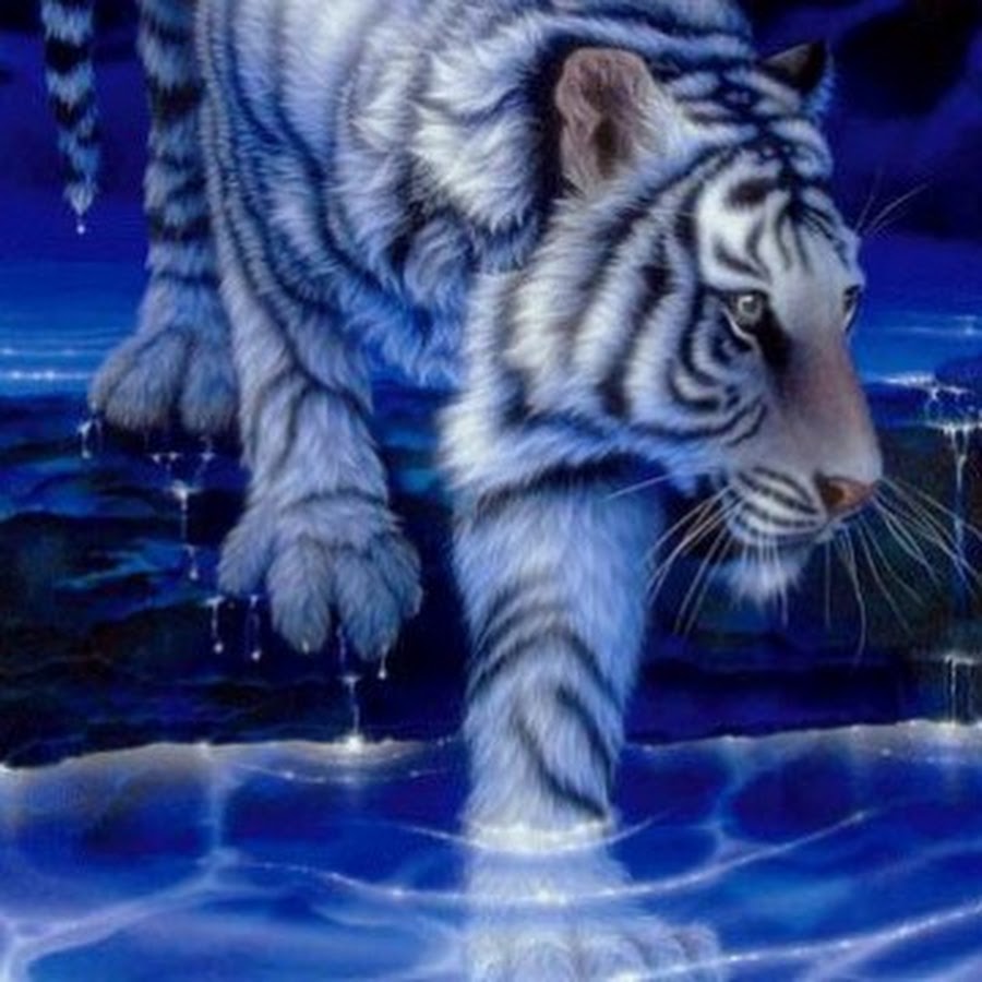 Картинки голубой тигр