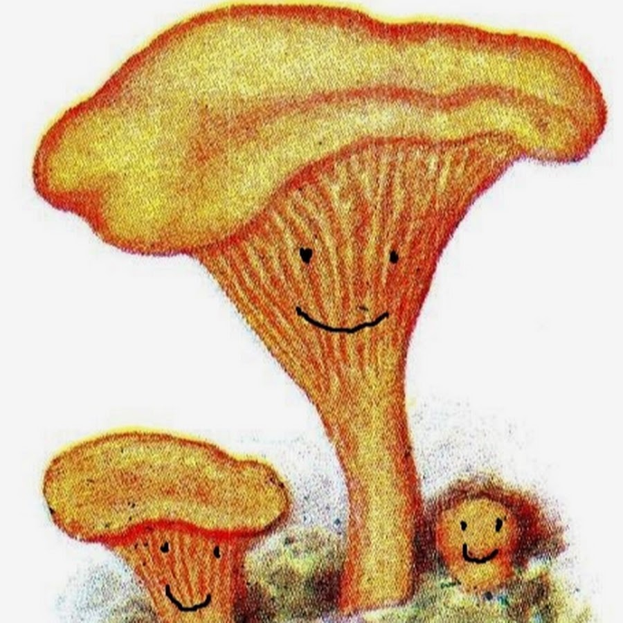 Мультяшные грибы лисички