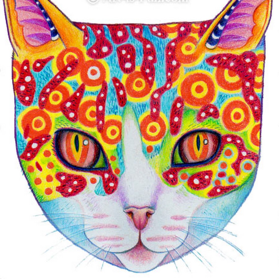 Кот с разноцветной мордой