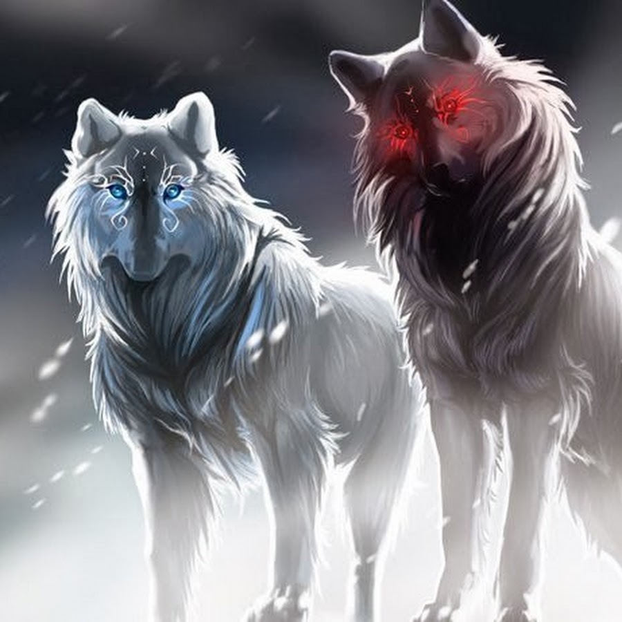 Клан волчицы