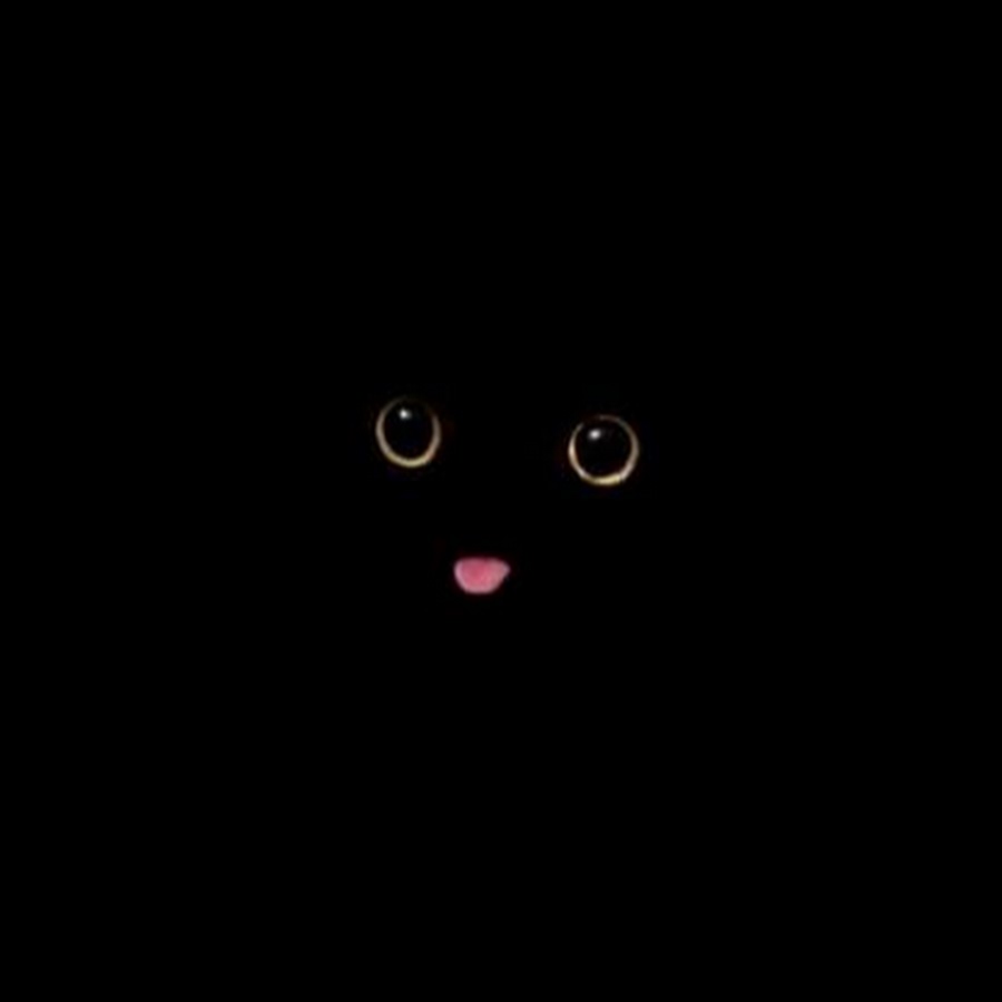 УГАРНЫЙ черный кот