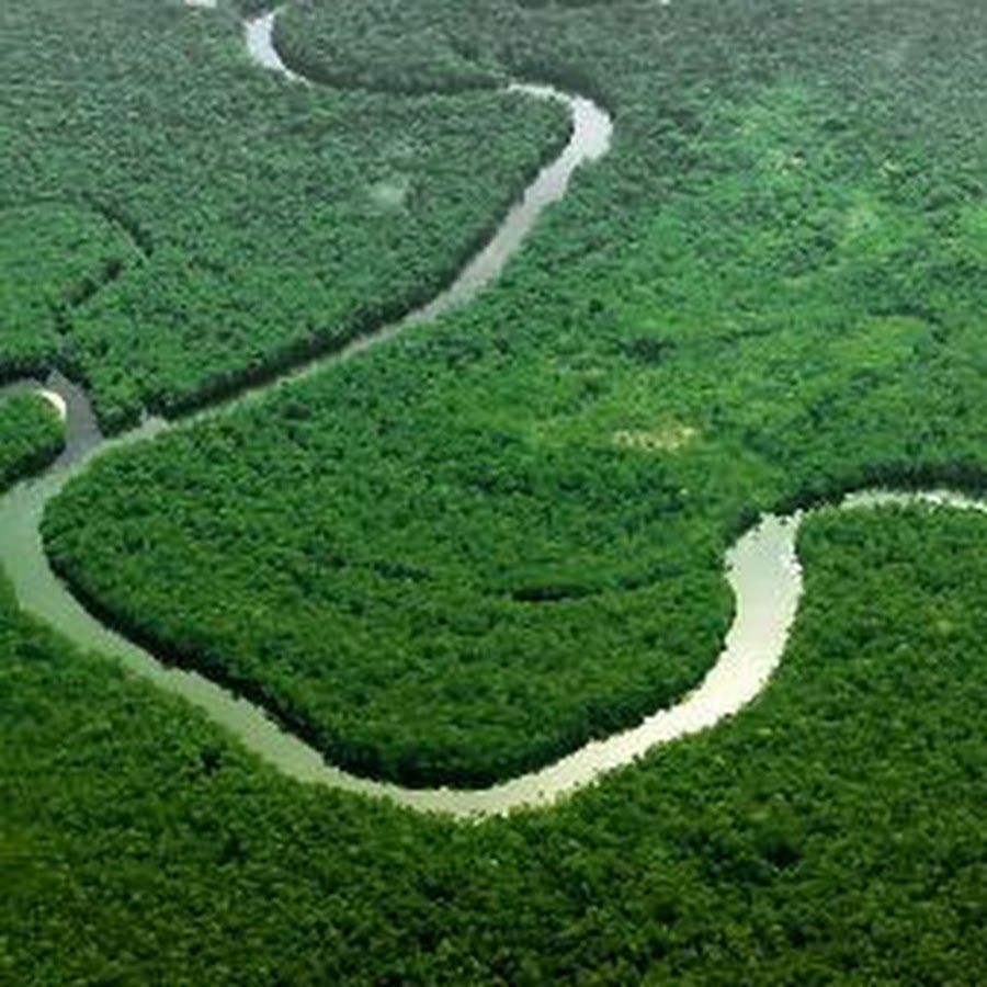 Самая большая по площади река южной америки. Южная Америка река Амазонка. Река Амазонка в Бразилии. Река Укаяли. Амазонка полноводная река.