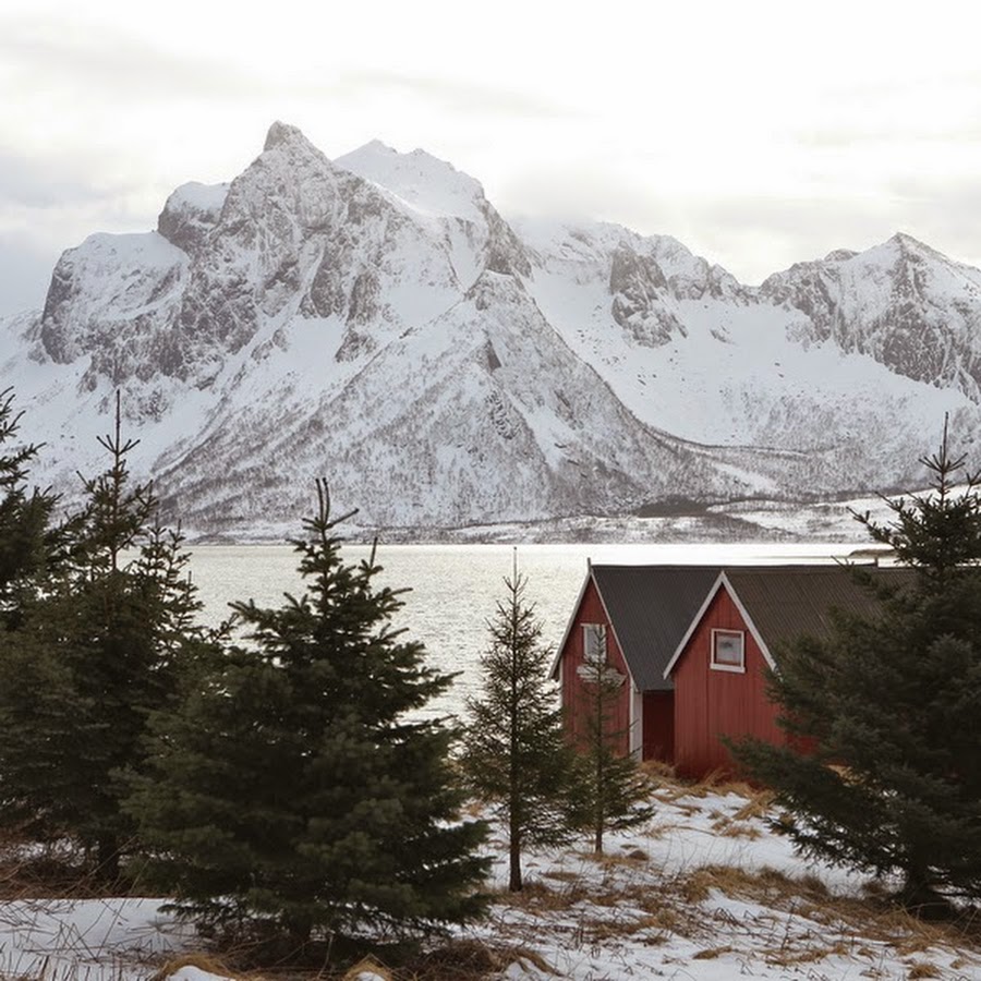 Аляска норвегия. Дания зимой природа. Красивая природа Дании зимой. Norway Аляска красная.