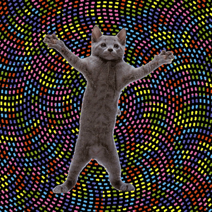 Фонк jump. Движущиеся картины. Танцующие кошки. Двигающие картинки. Кот двигается.