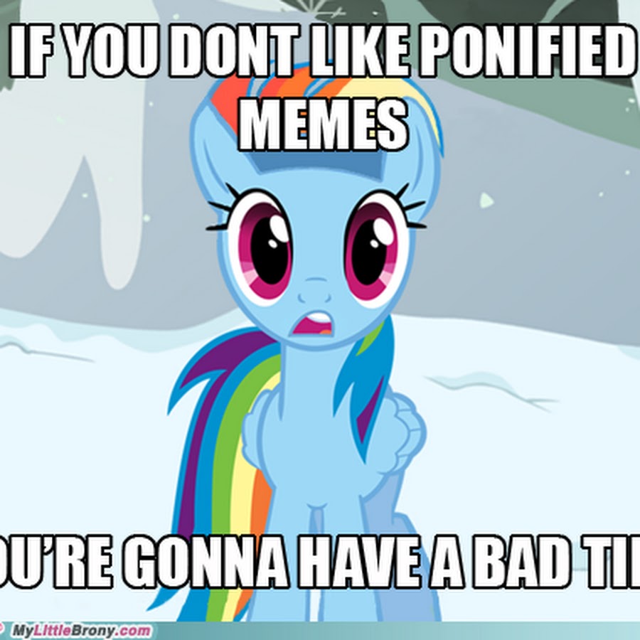 Do you have bad time. Brony мемы. Пони Мем. First time Мем пони. Понимать пони сын Мем.