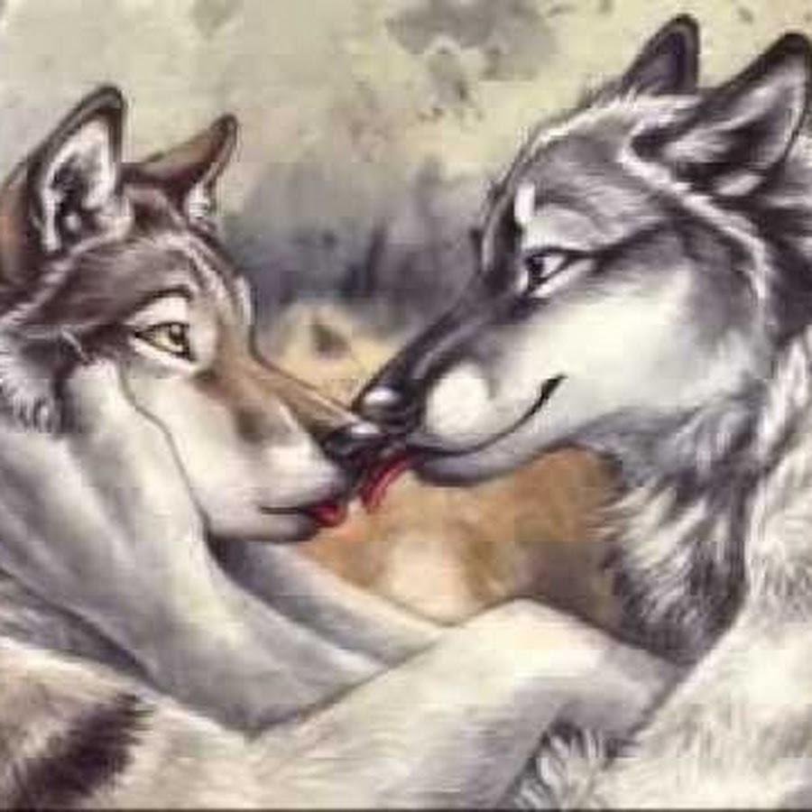 Волк с волчицей любовь тату