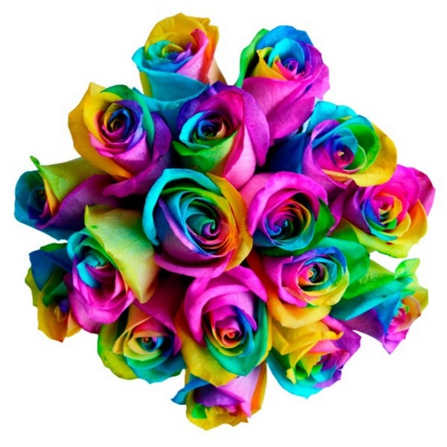 Роза Tinted Rainbow