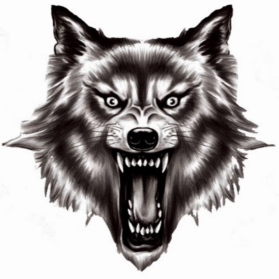 Оскаленная голова волка