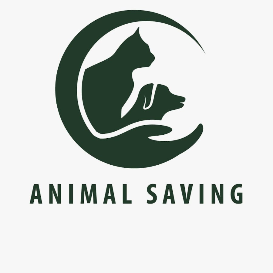 Save animal