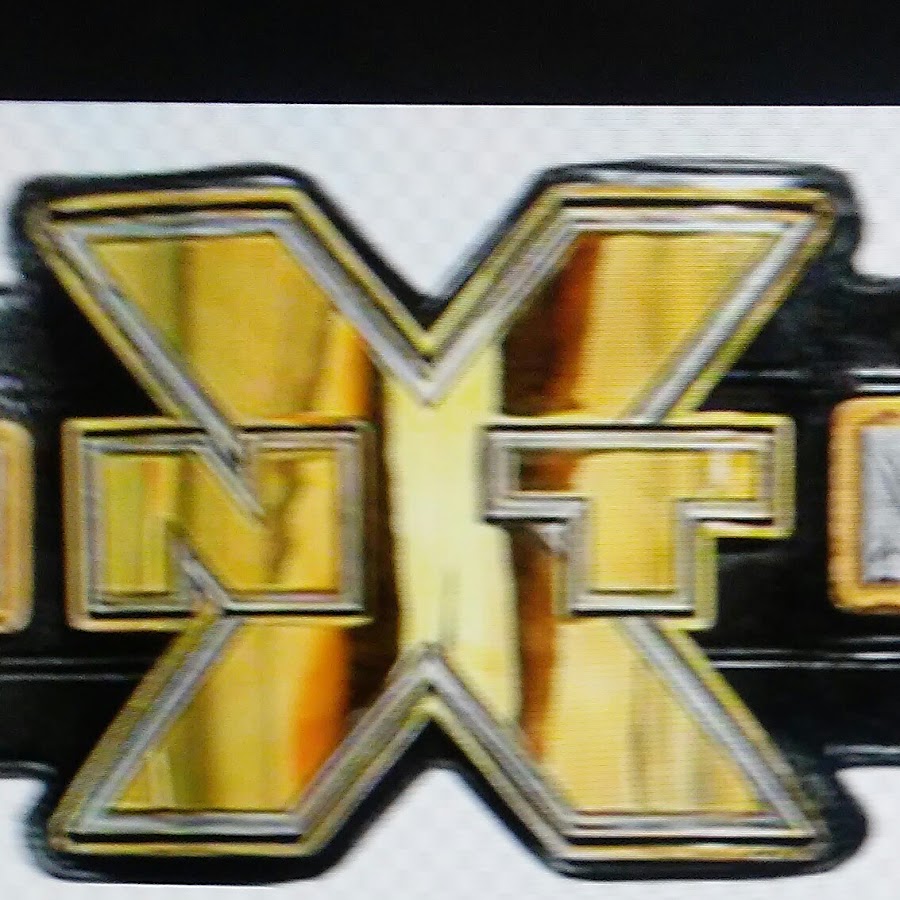 NXT Champion пояс. Чемпионские титулы WWE NXT. WWE Heavyweight Championship. Титул НХТ.