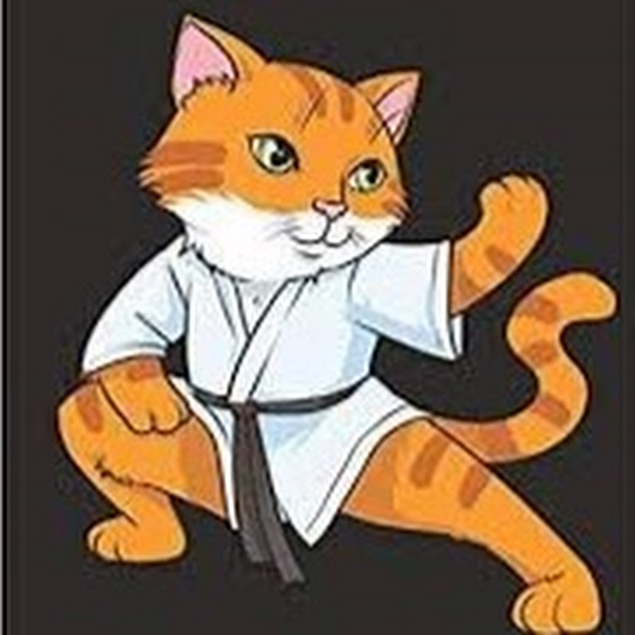 Карате кошка. Каратэ кошка. Karate Cat.