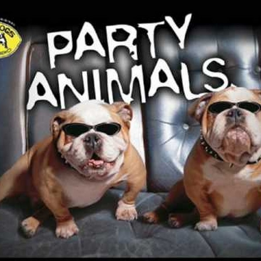 Party animals friend pass