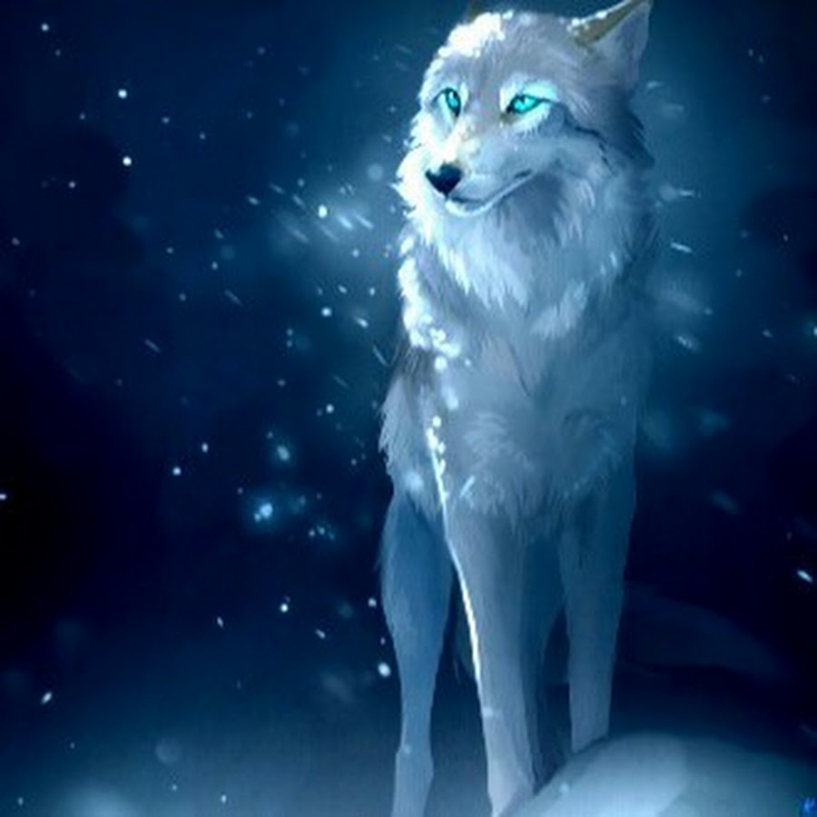 Волчица с голубыми глазами