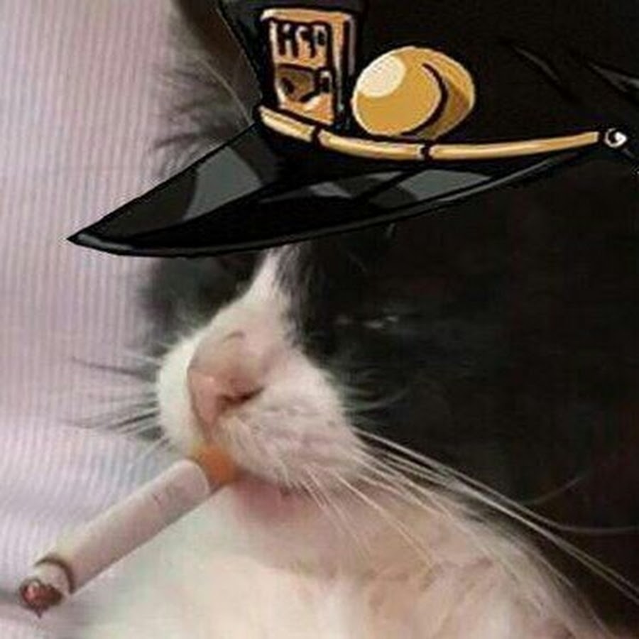 Котик с сигаретой из ну погоди