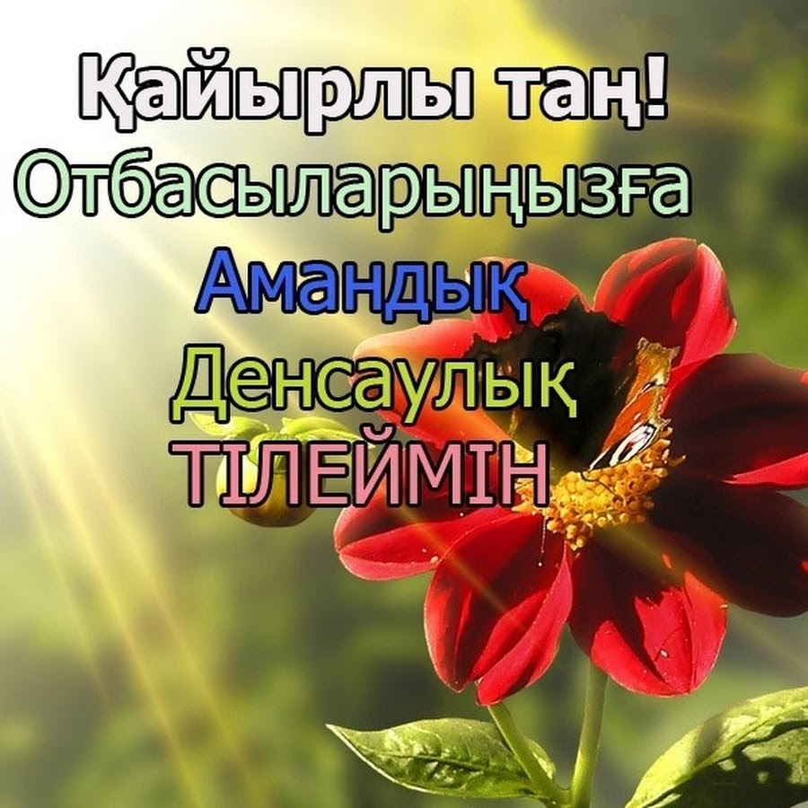 Пожелания с добрым утром на казахском языке. Кайырлы Тан открытки. Добрый день на казахском языке. Кайырлы Тан с пожеланиями.