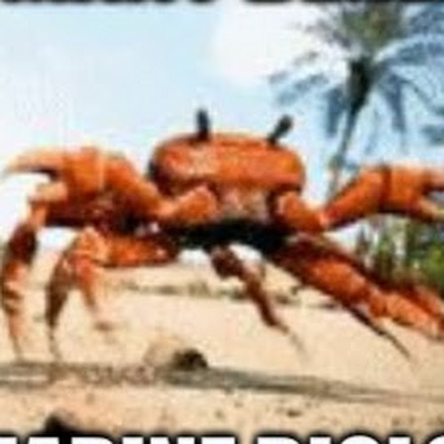 Roblox crab rave id