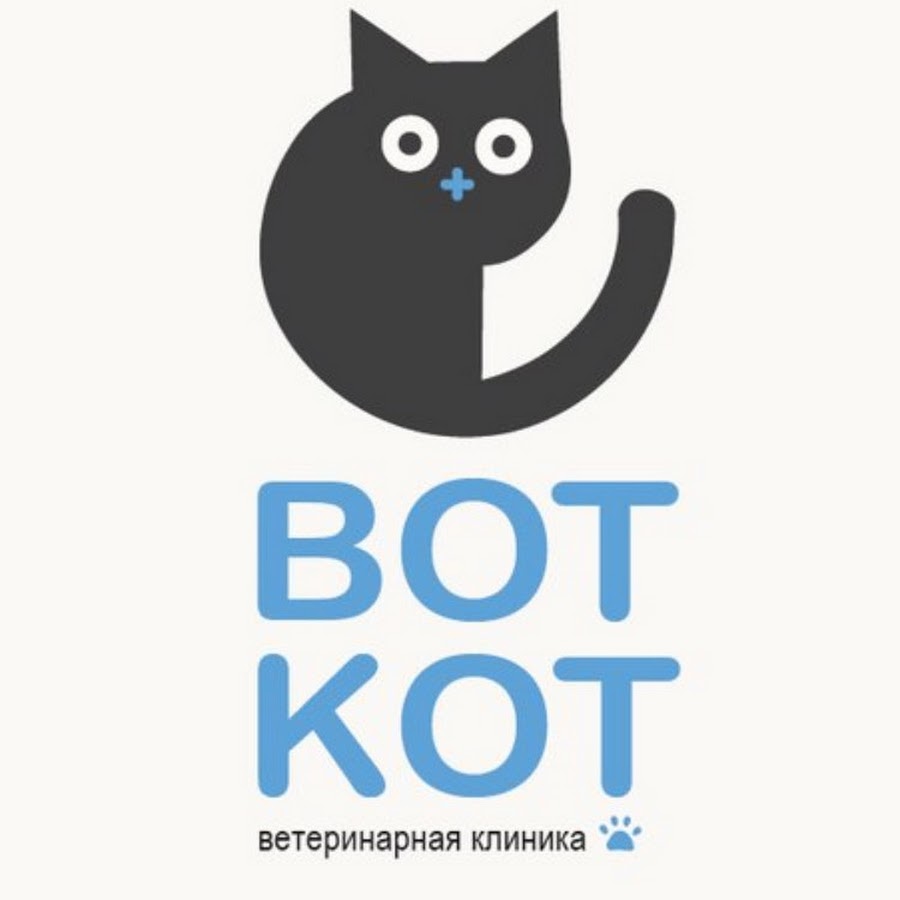 Вот кот