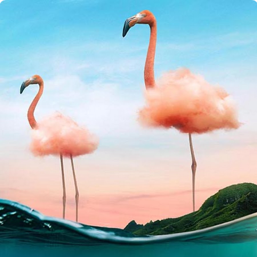 Фламинго в облаках