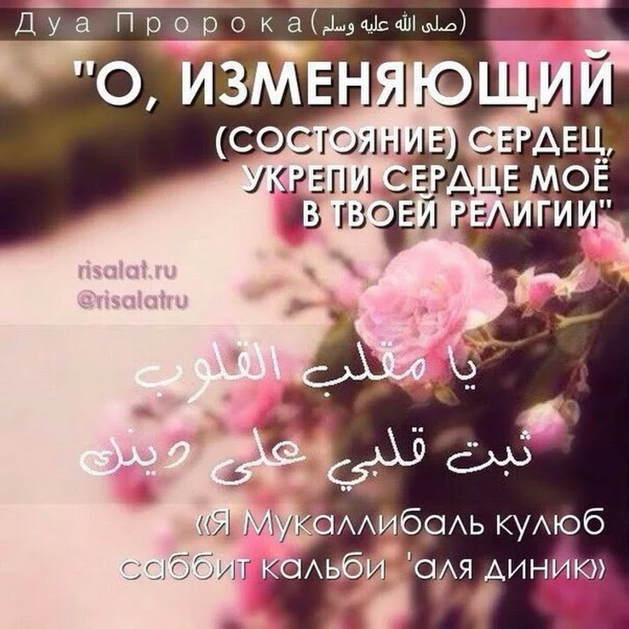 Всем баракатного дня