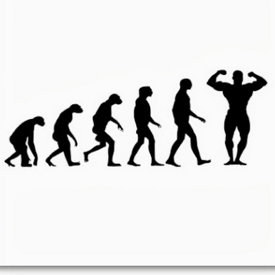 Эволюция спортсмена