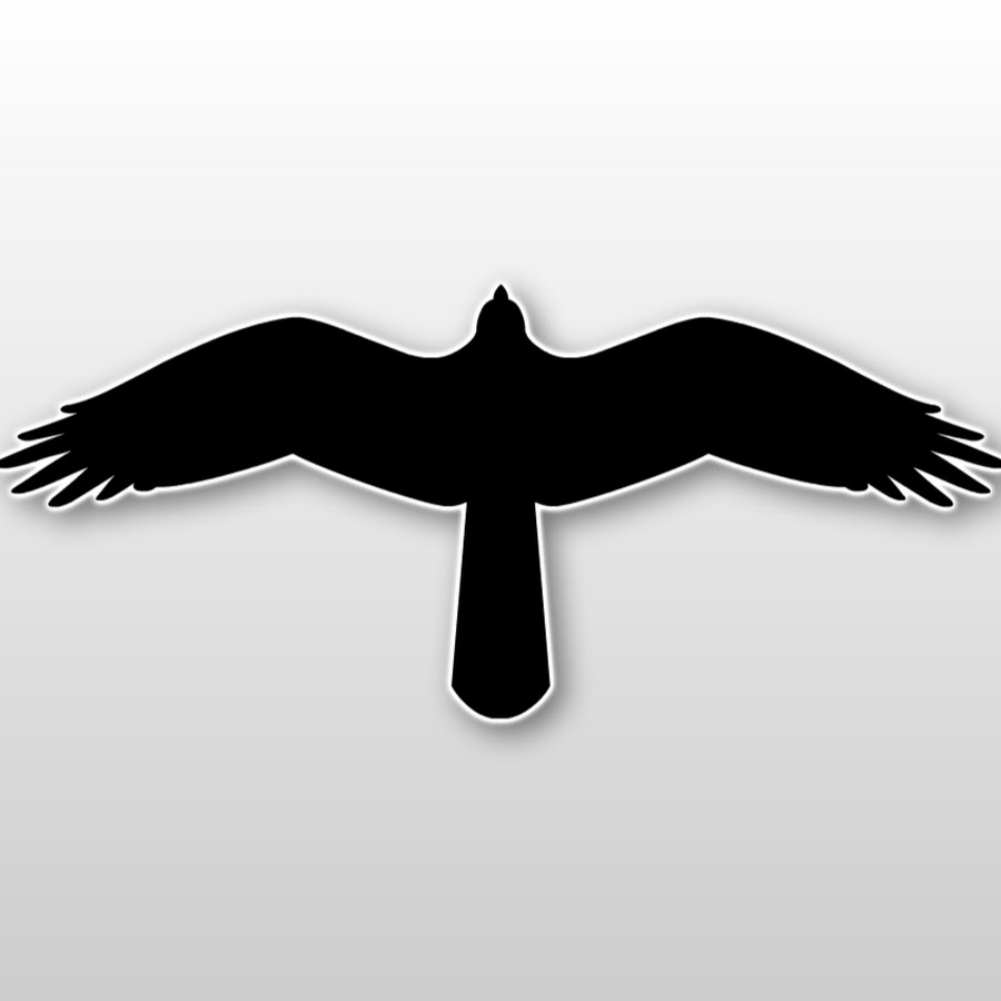 VidVulture.