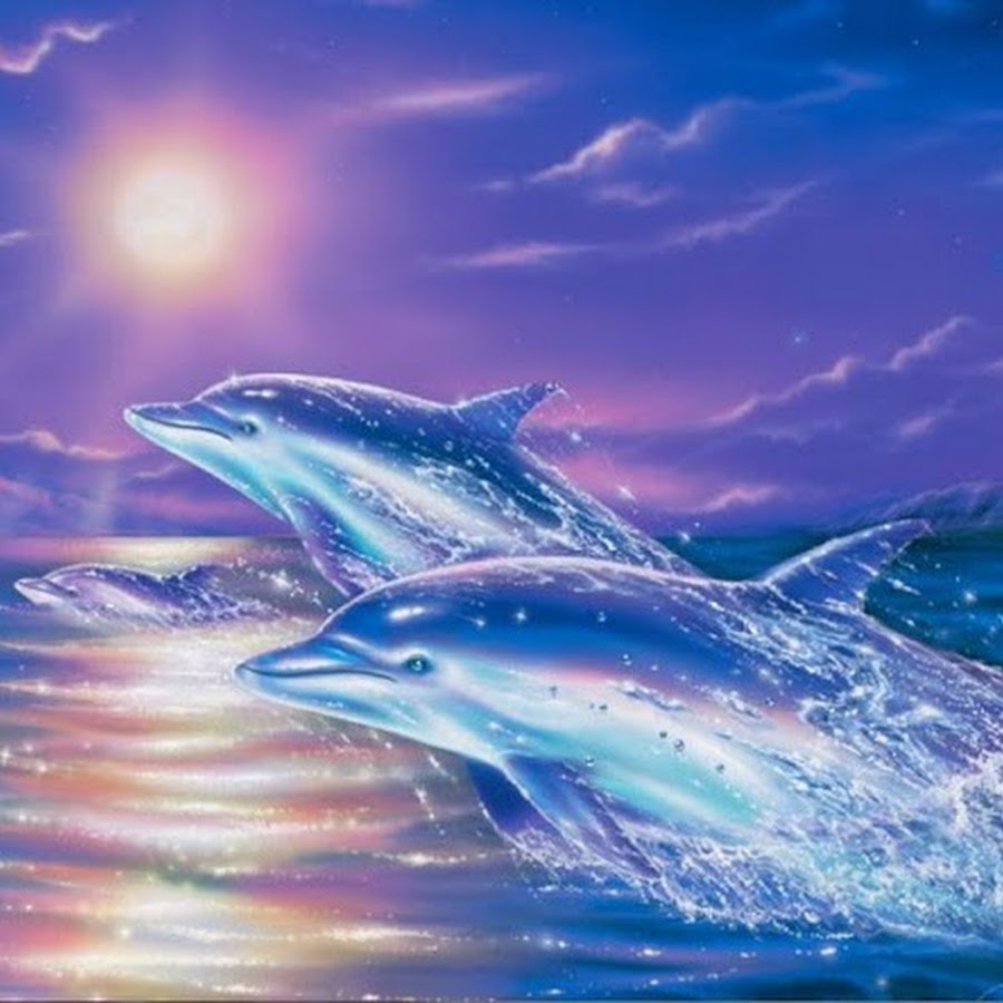 Красивые картины с дельфинами