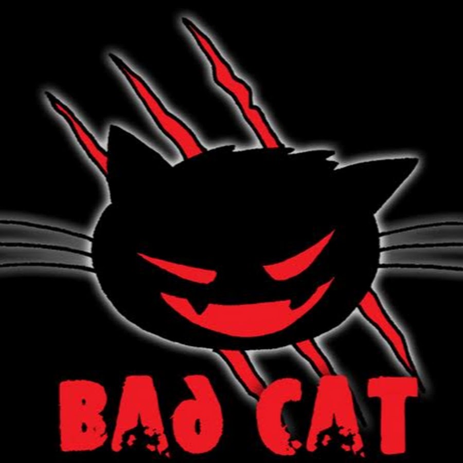 Картинка bad cat