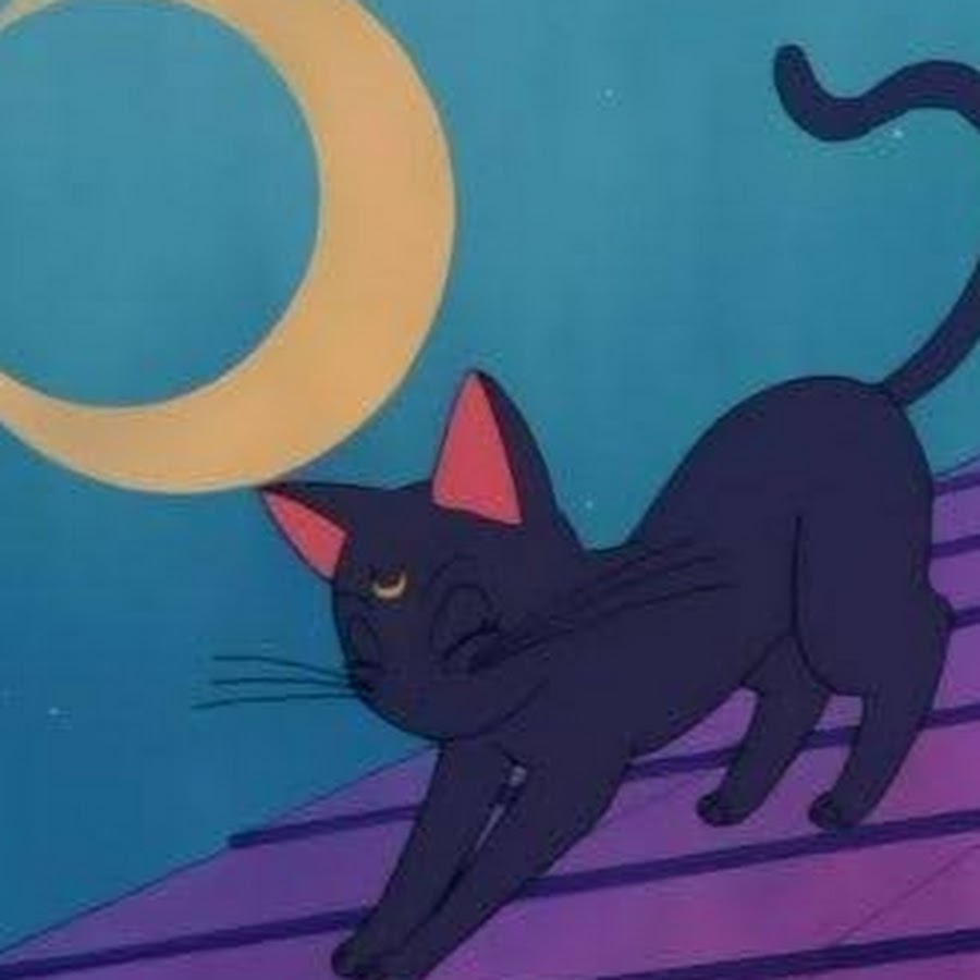 Sailor Moon Луна кошка