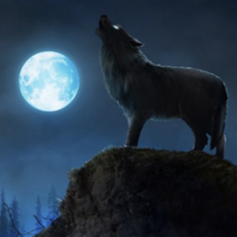 Про луну оборотней. Волк и Луна. Полнолуние и оборотни. Глаза волка Луна. Wolf Moon игра.