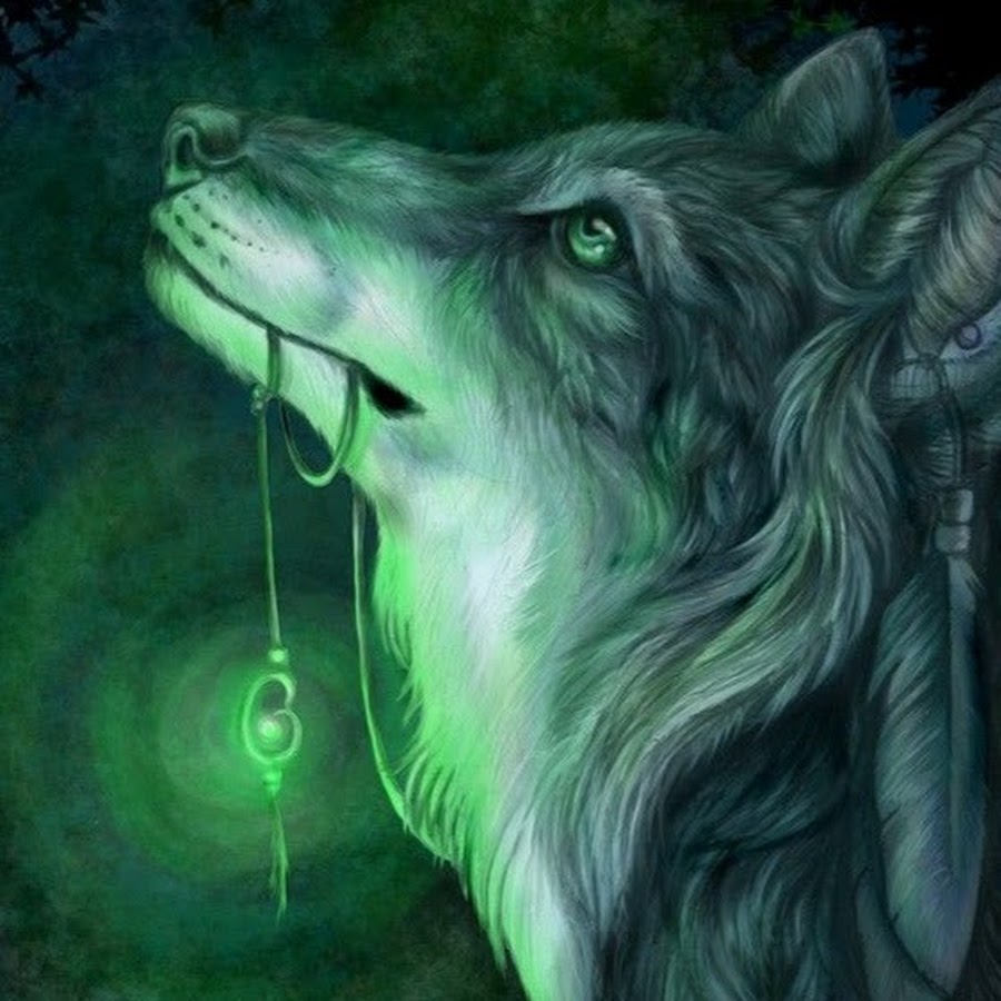 Красивый зелёный волка