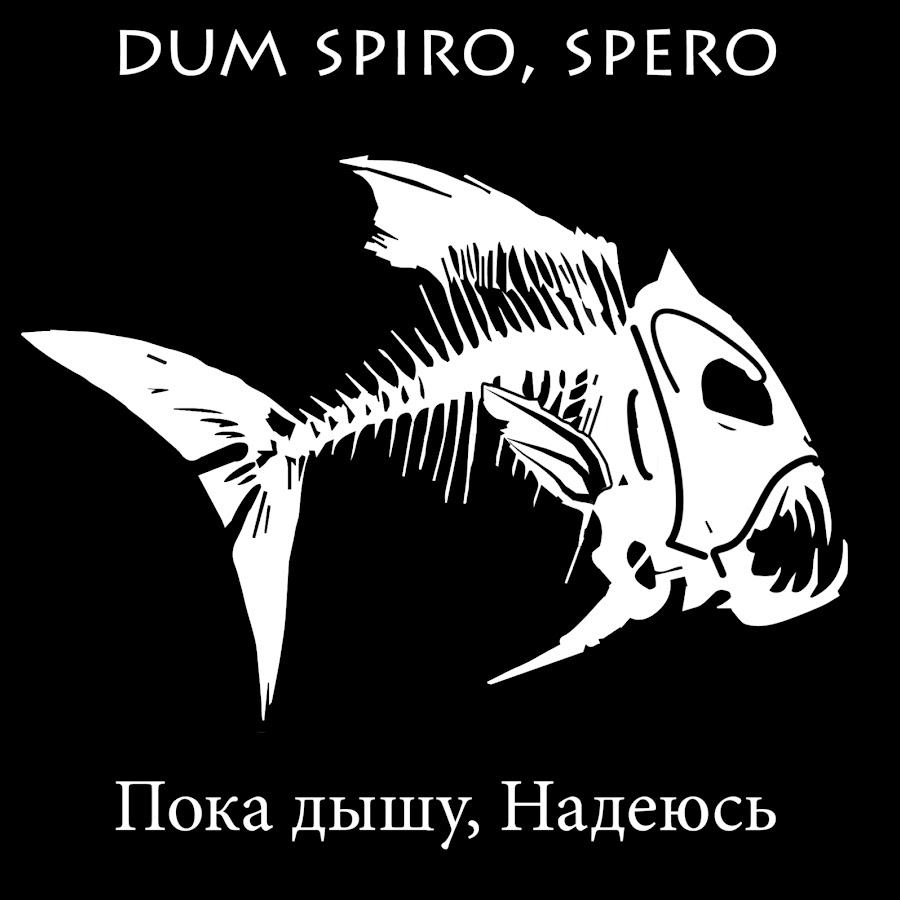 Dum spiro spero картинка