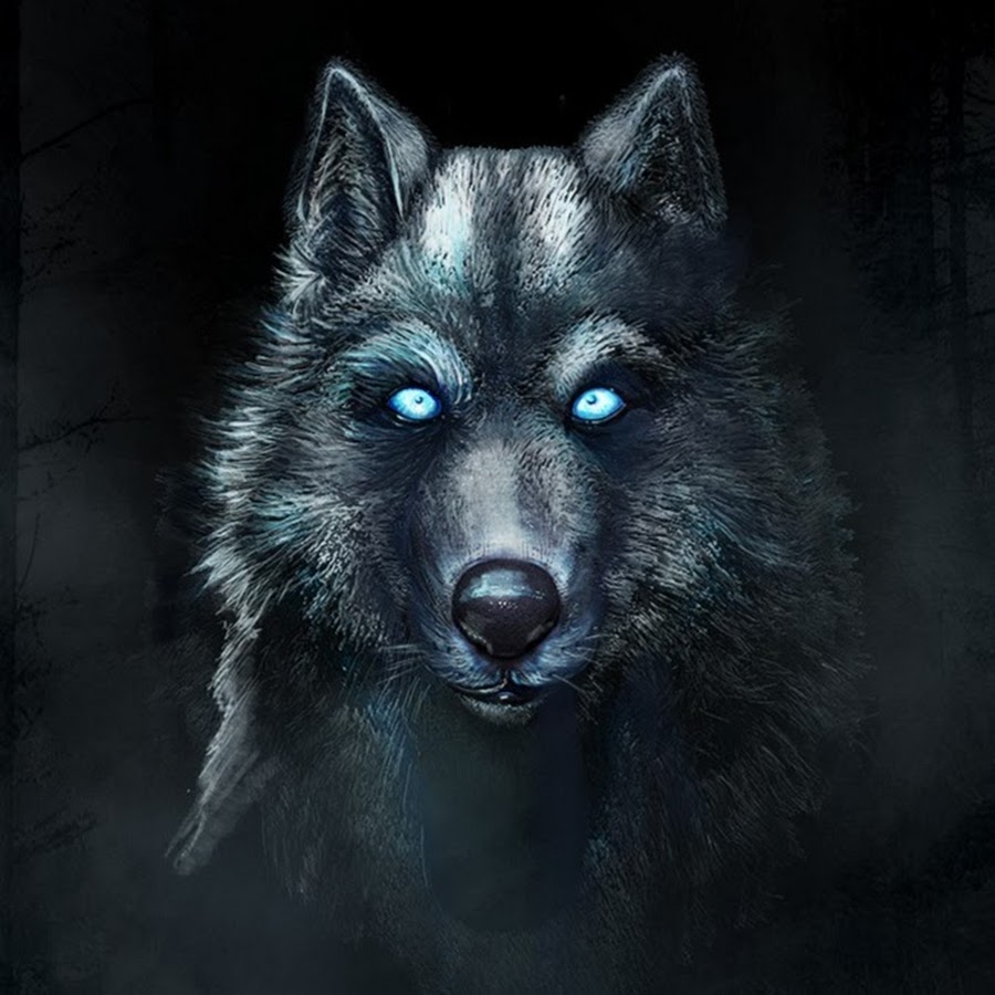 Рисунок волка на аватарку (46 фото)