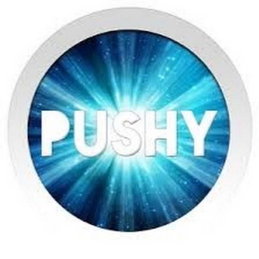 pushys online review