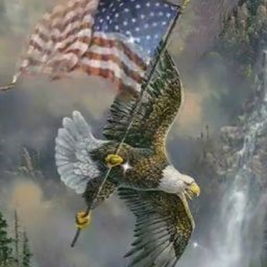 Белоголовый Орлан на флаге США