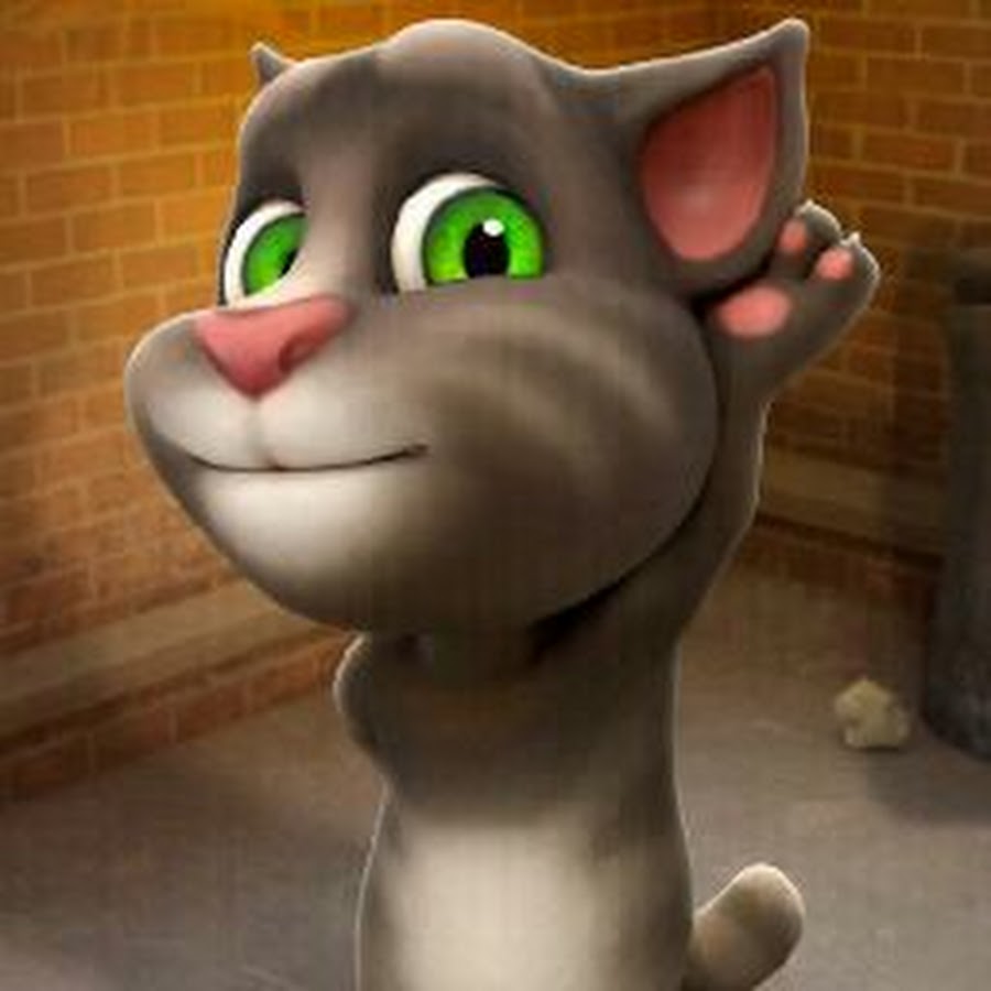 Talking Tom Cat