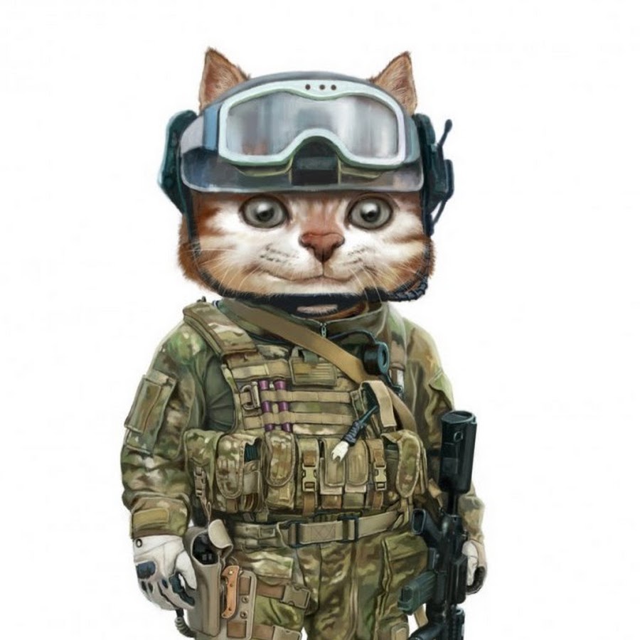 Кот в военной форме