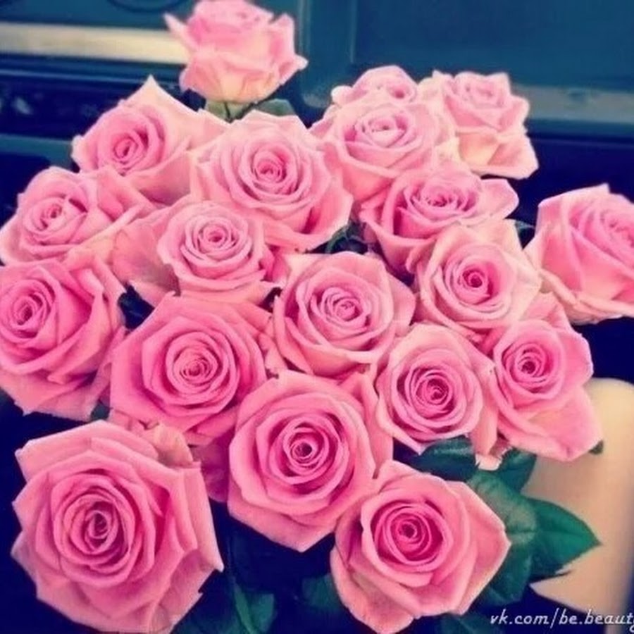 Розовые розы селфи