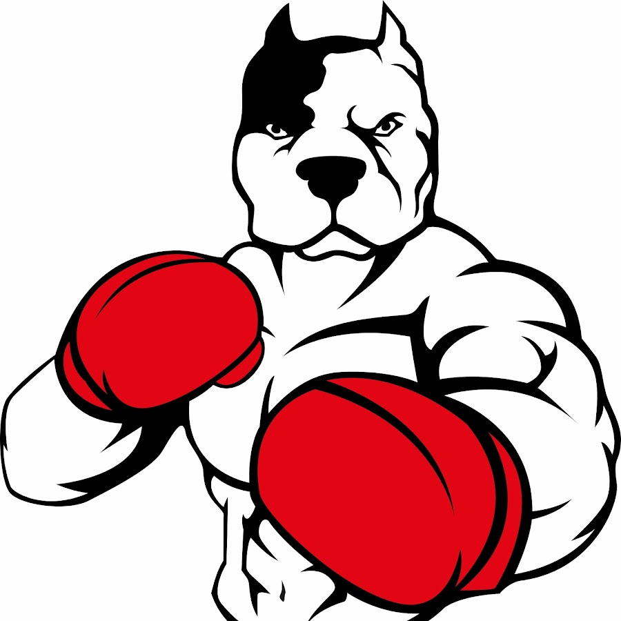 Собака в боксерских перчатках