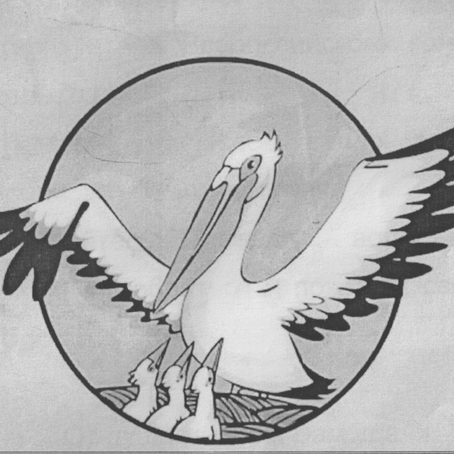 Пеликан символ конкурса учитель года