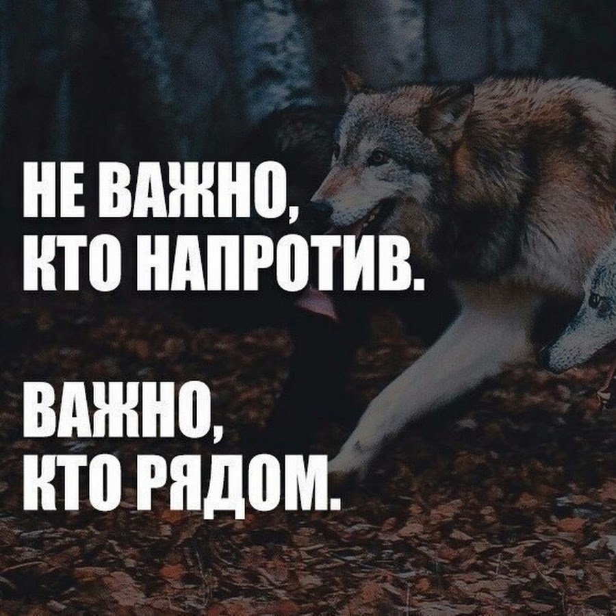 Не важно кто против важно кто рядом картинки